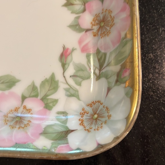 Gorgeous decorative plate by Porzellanfabrik Moschendorf Bavaria - Picture 5 of 12